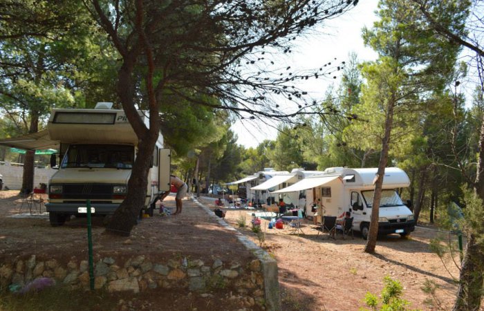 Kamp Zlatni rat 