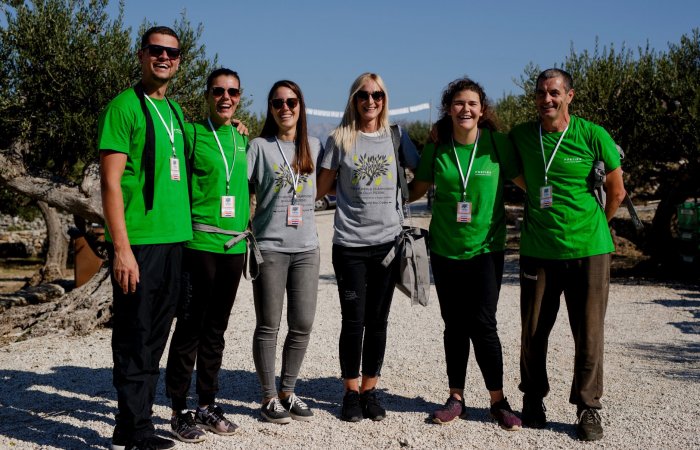 2nd World championship in olive picking